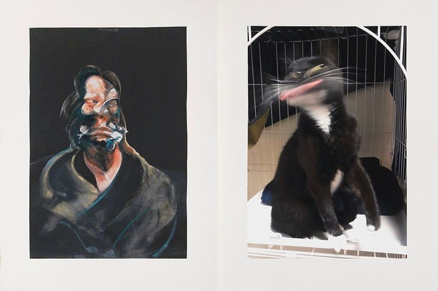 Image of Comparison (kitty), 2020: Collage on paper