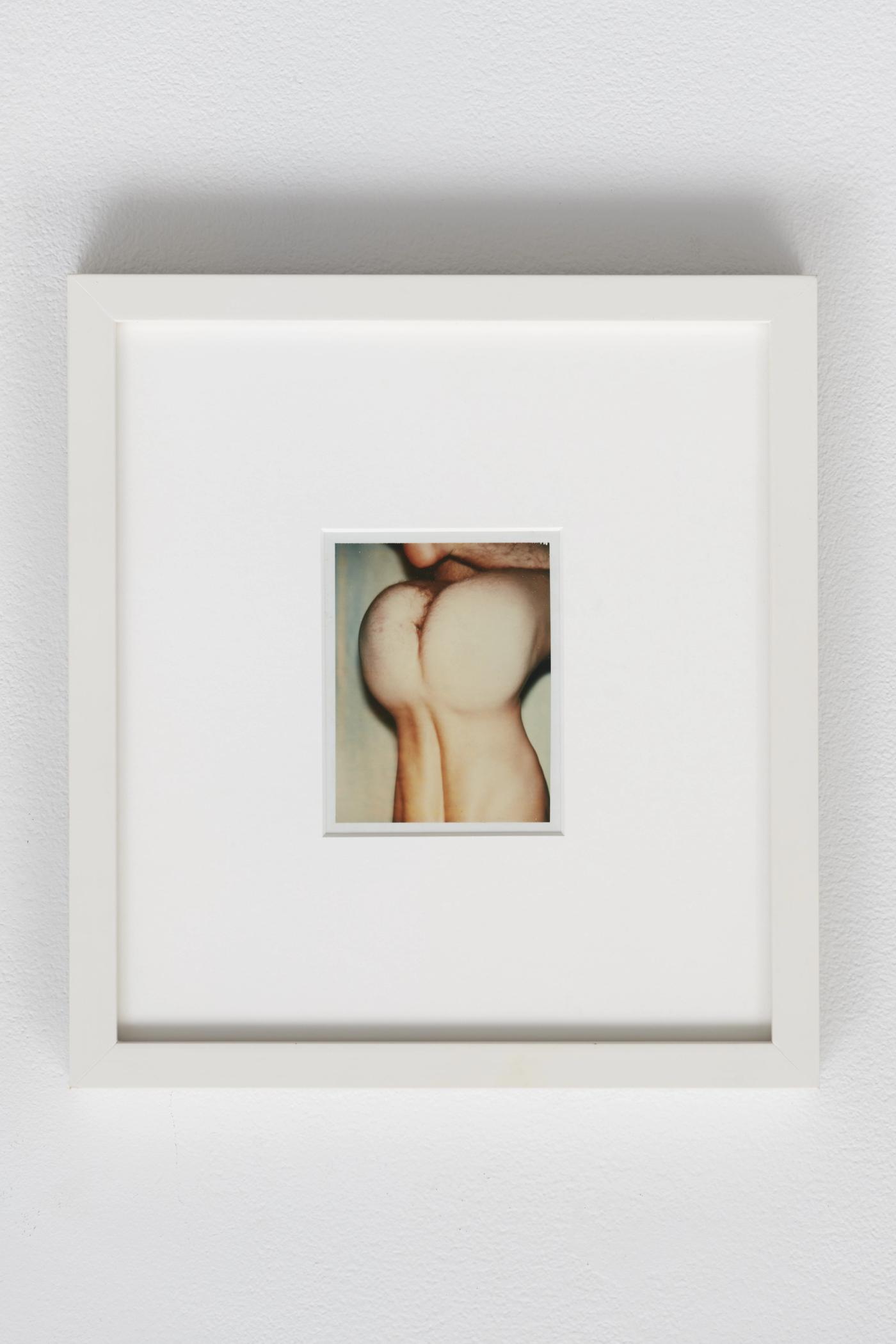 Image of Nude Male Model (2/2), 1977: Unique polaroid print (Polacolor Type 108)