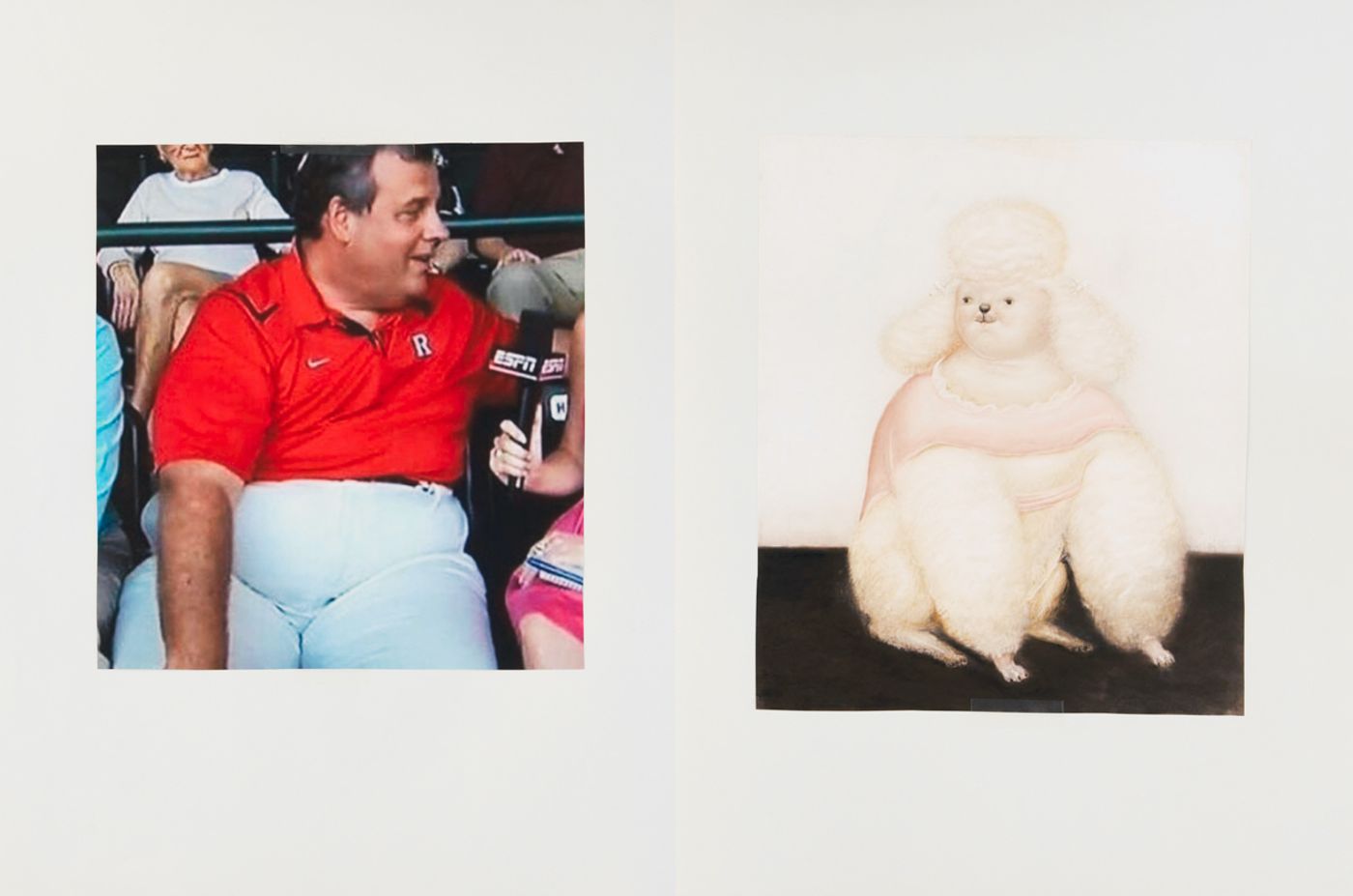 Image of Comparison (fupa), 2020: Collage on paper