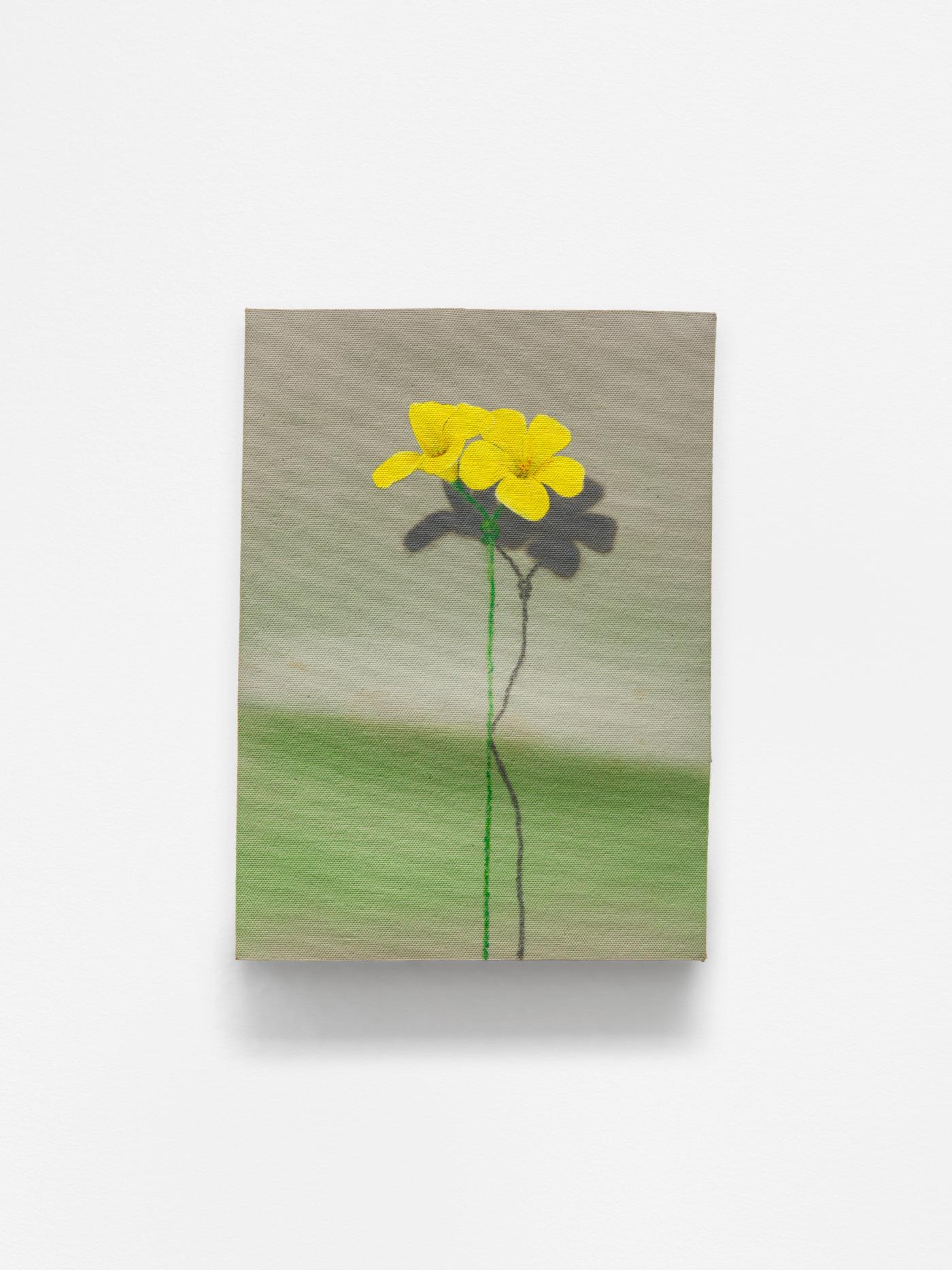 Image of 2 Bermuda Buttercup (with shadow), 2026: Oil, enamel, and pencil on ceramic