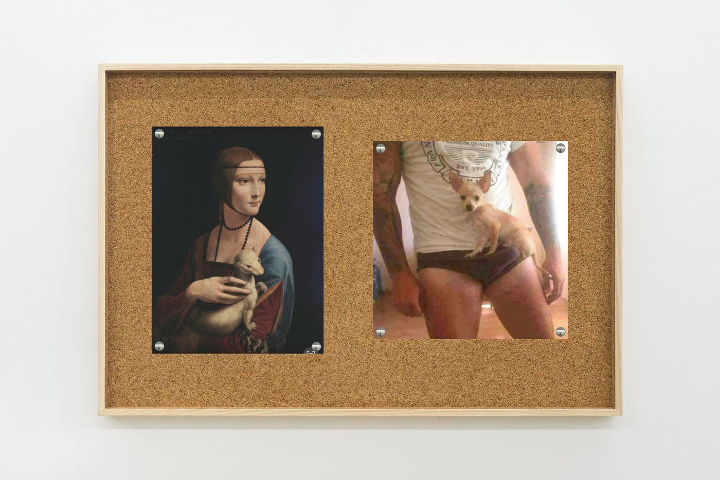 Image of Leonardo/dog, 2025: Collage on corkboard