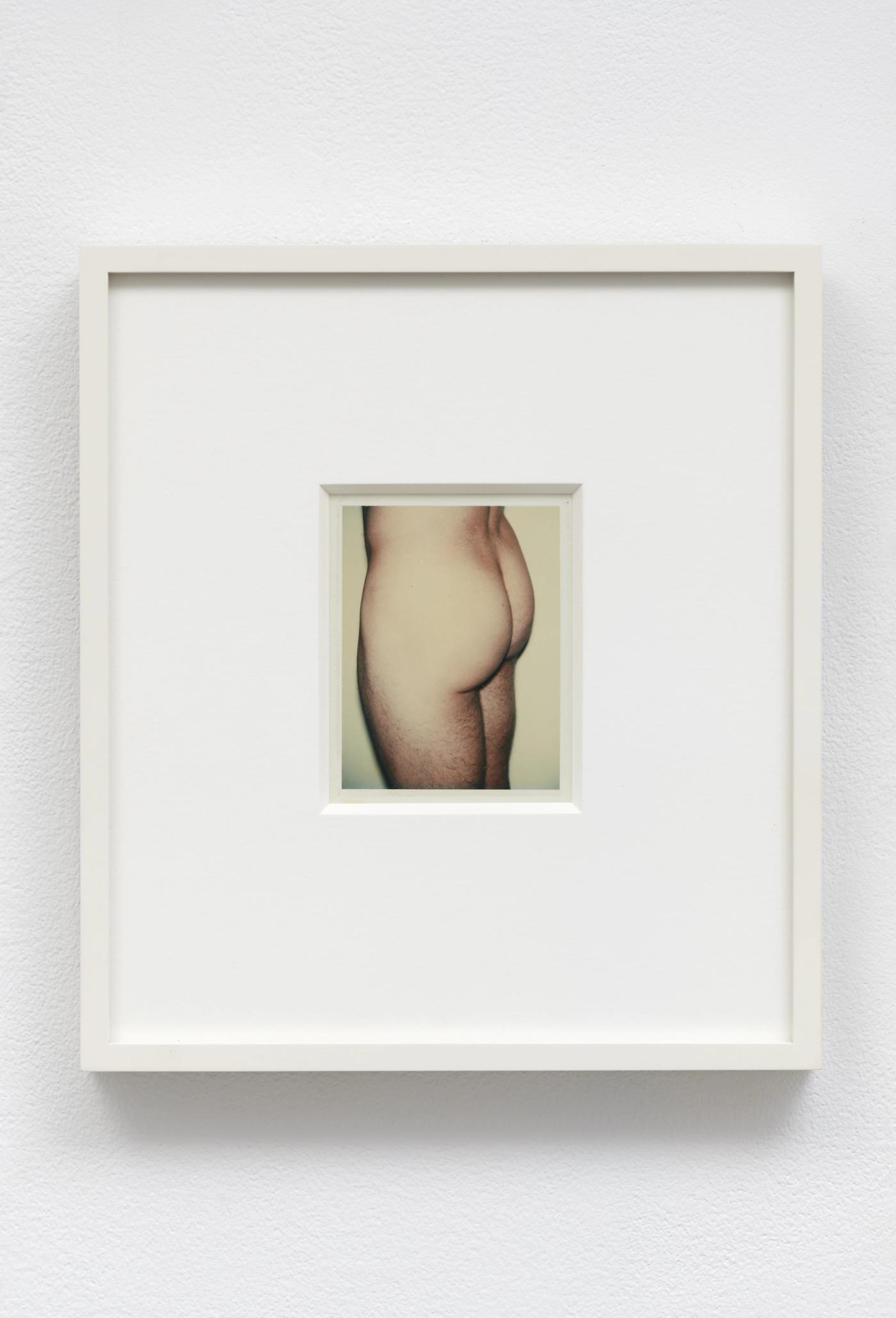 Image of Torso, 1976: Unique polaroid print (Polacolor Type 108)