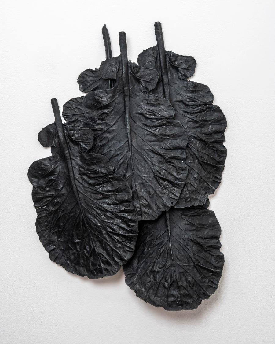 Still Life with Five Large Collard Leaves