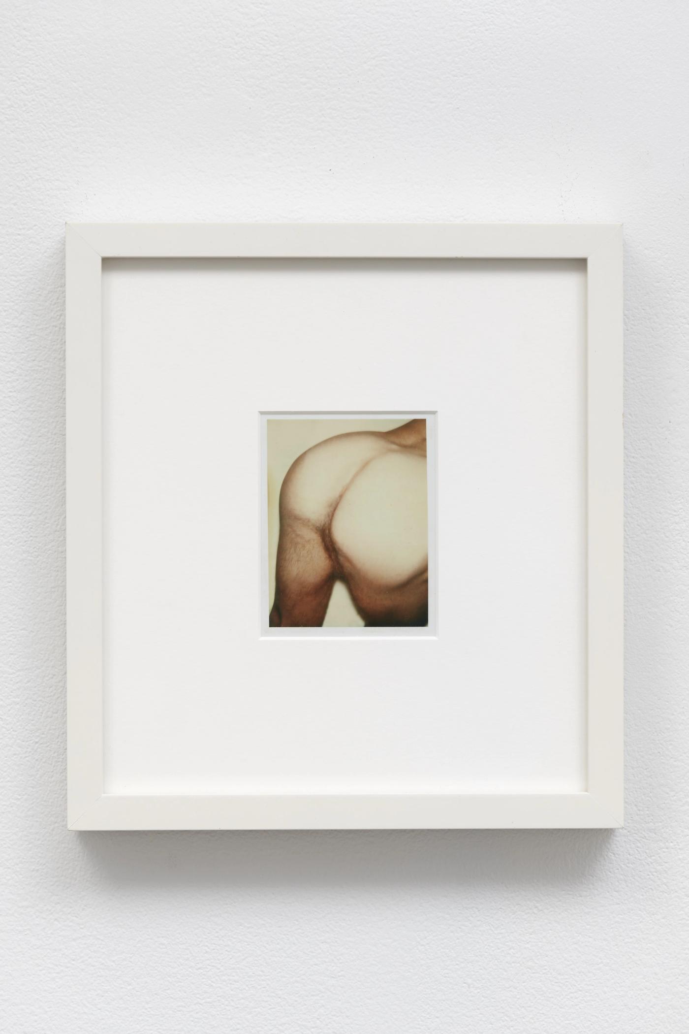 Image of Nude Male Model (2/3), 1976: Unique polaroid print (Polacolor Type 108)