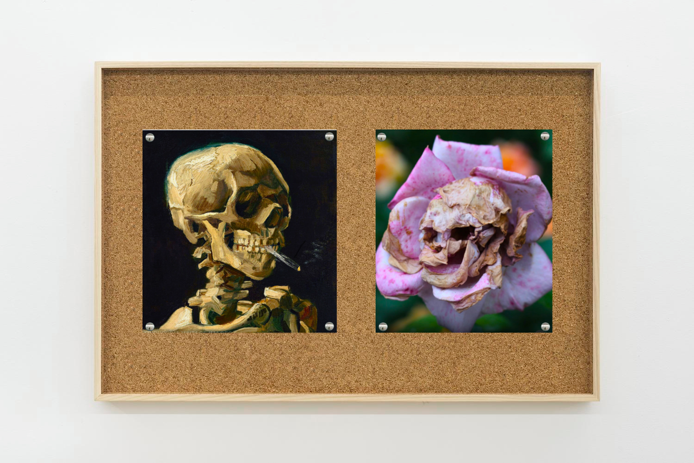 Image of Van Gogh/flower, 2025: Collage on corkboard