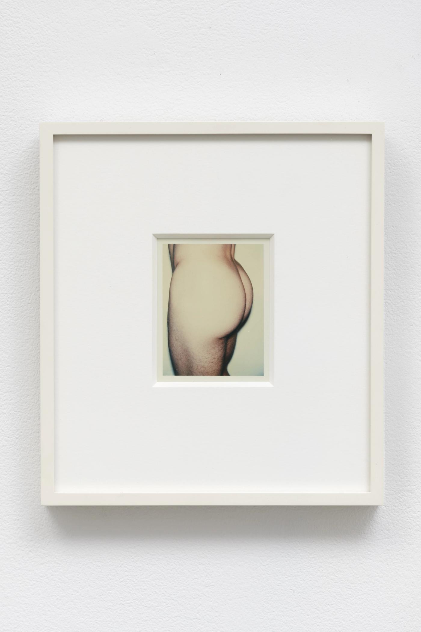 Image of Torso, 1976: Unique polaroid print (Polacolor Type 108)