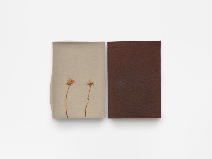 2 dandelion diptych (con ombra), I