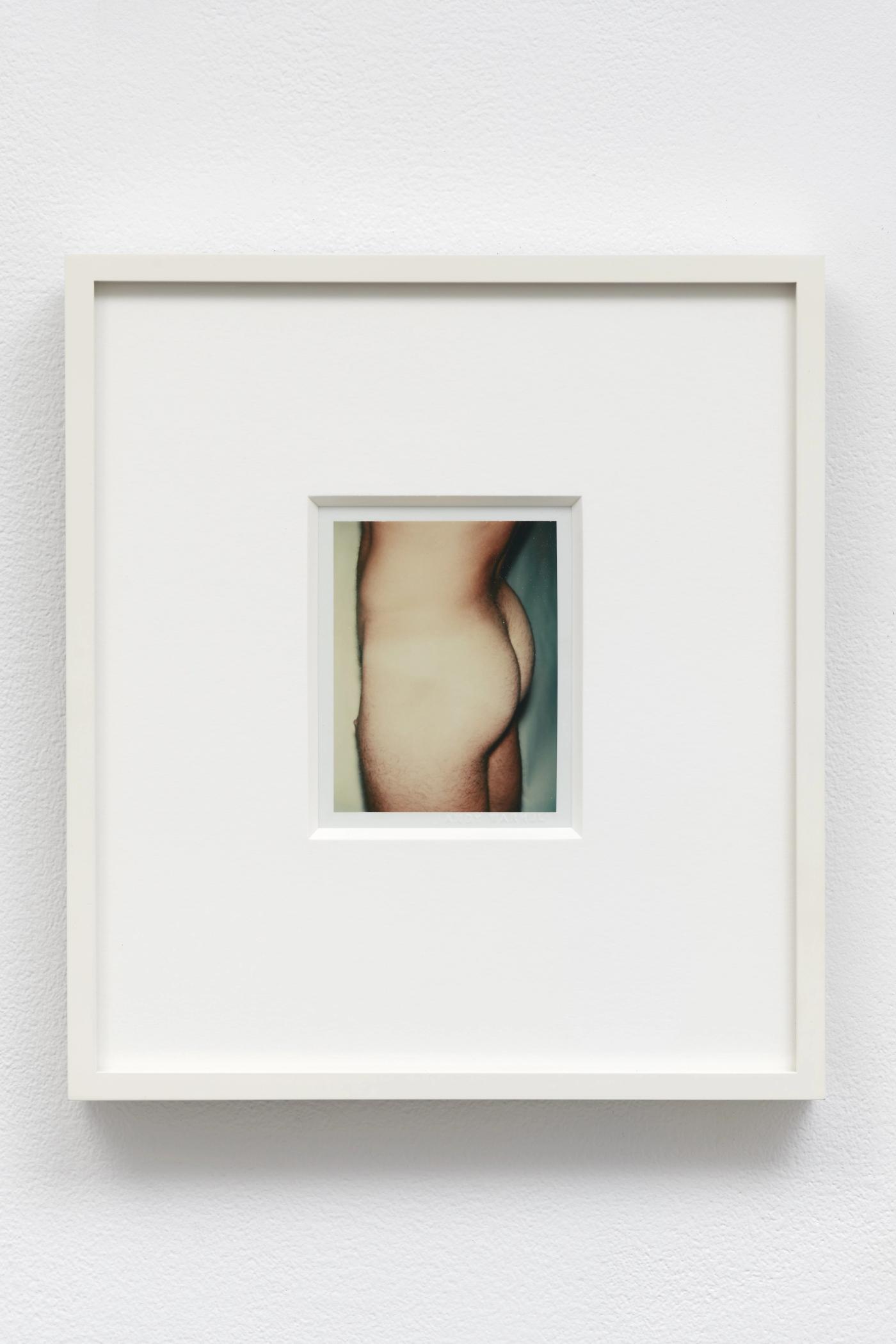 Image of Nude Male Model (1/2), 1976: Unique polaroid print (Polacolor Type 108)