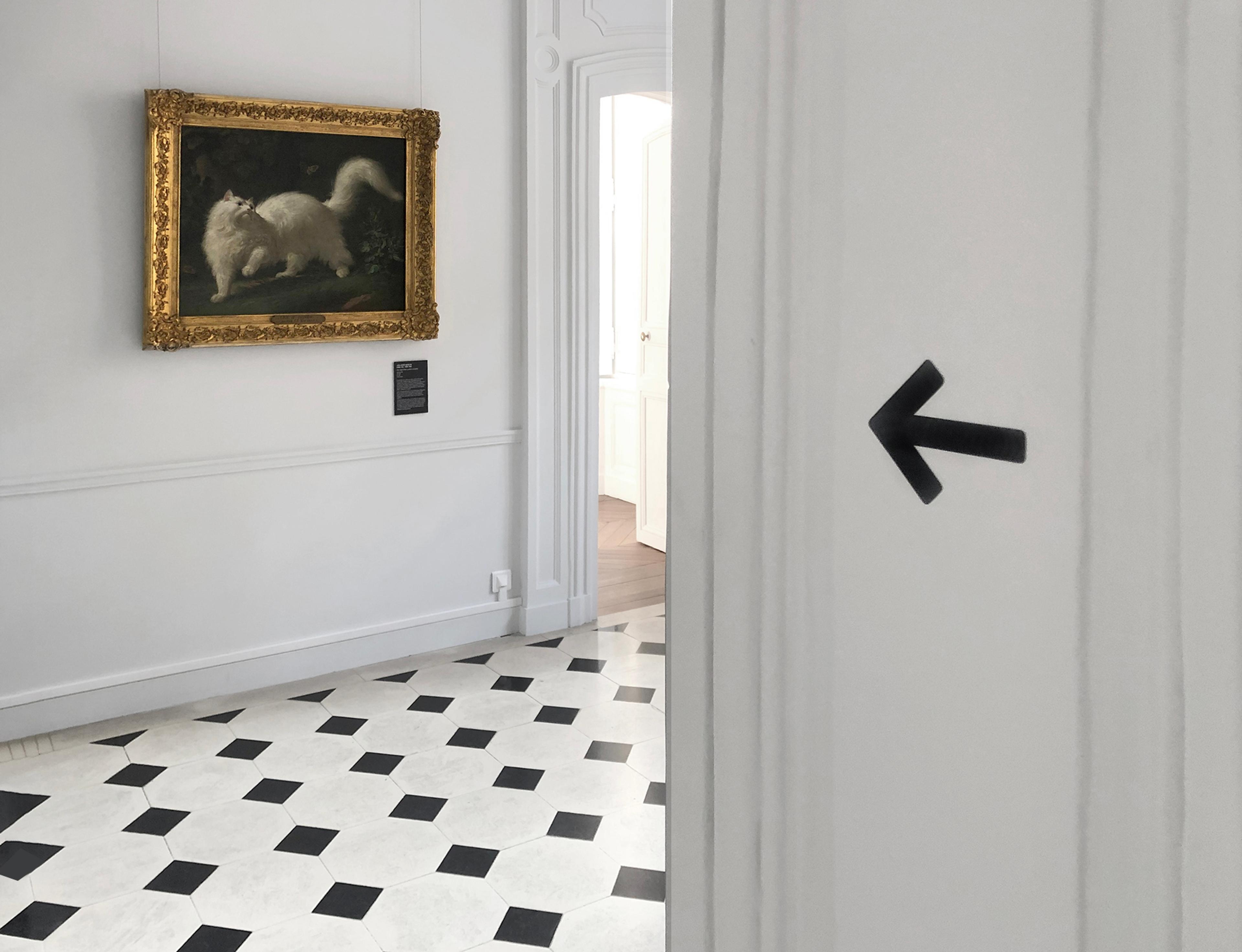 Muséographisme des collections permanentes du musée Lambinet