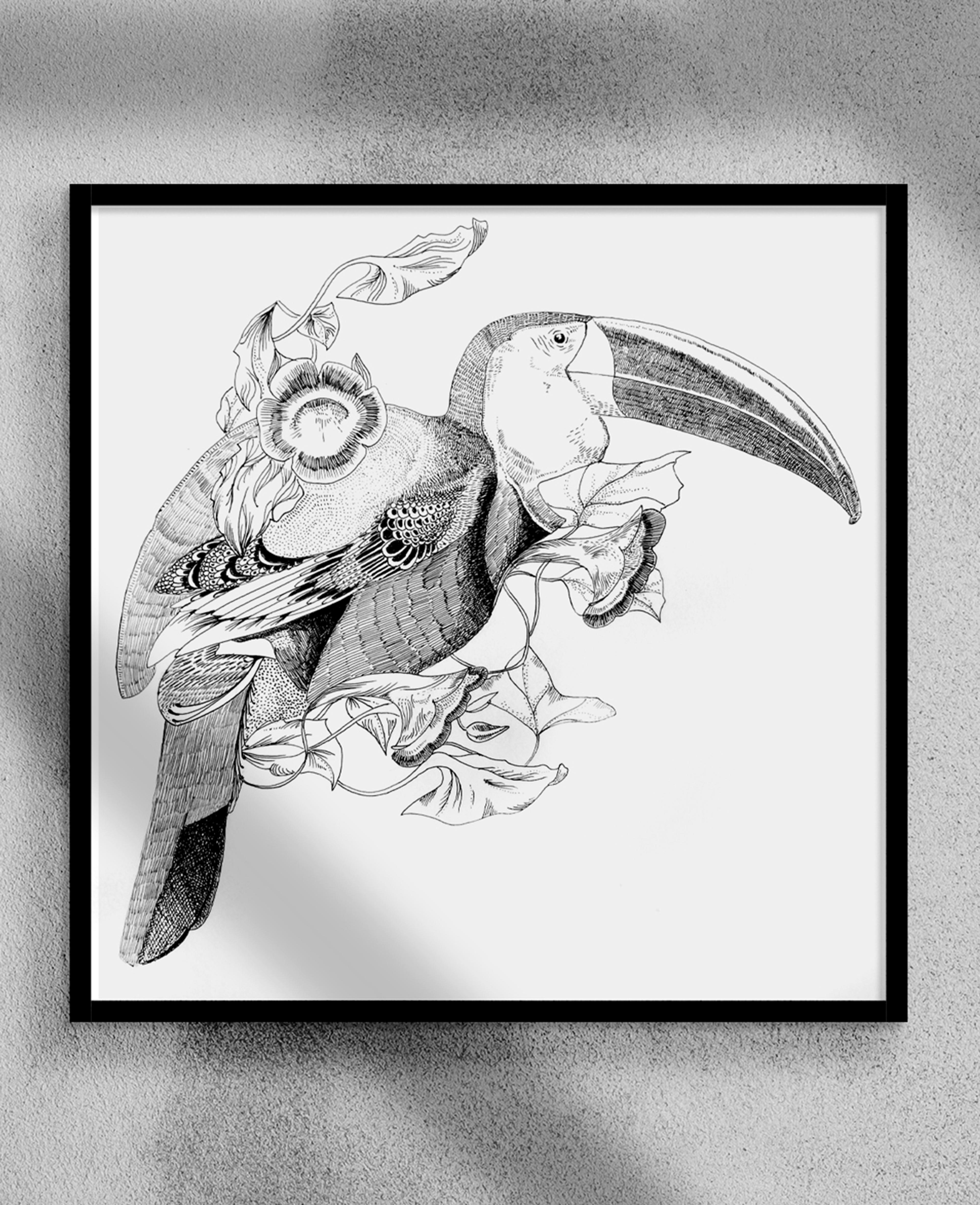 Le toucan