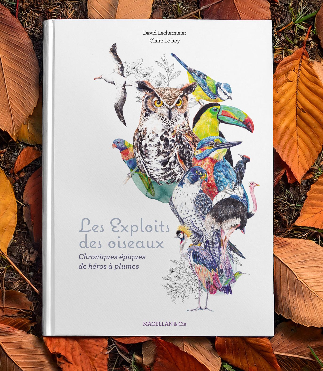 Les exploits des oiseaux