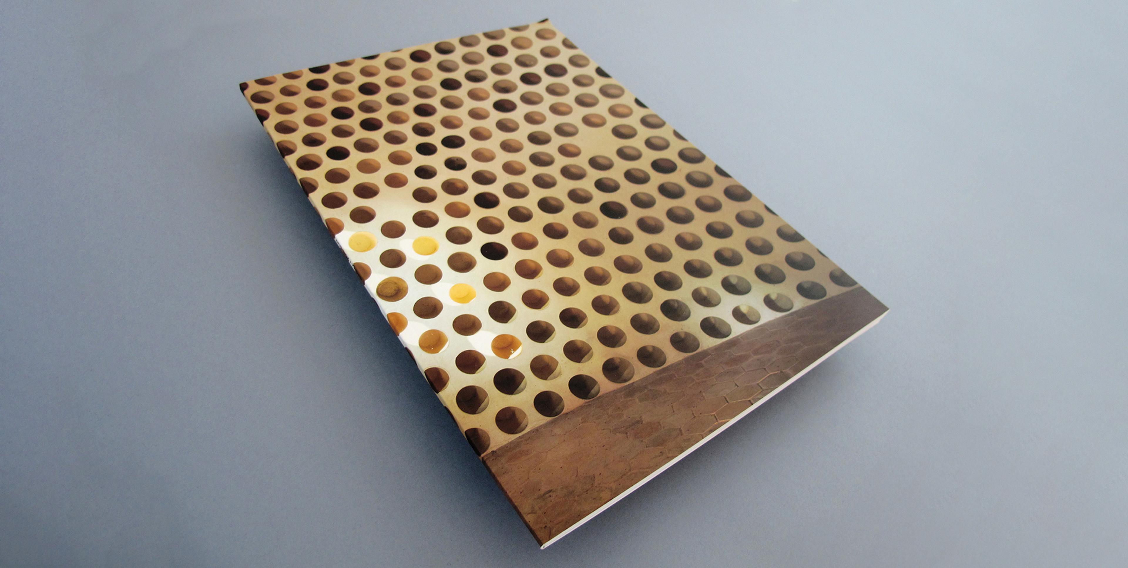 Book François Chatillon architecte