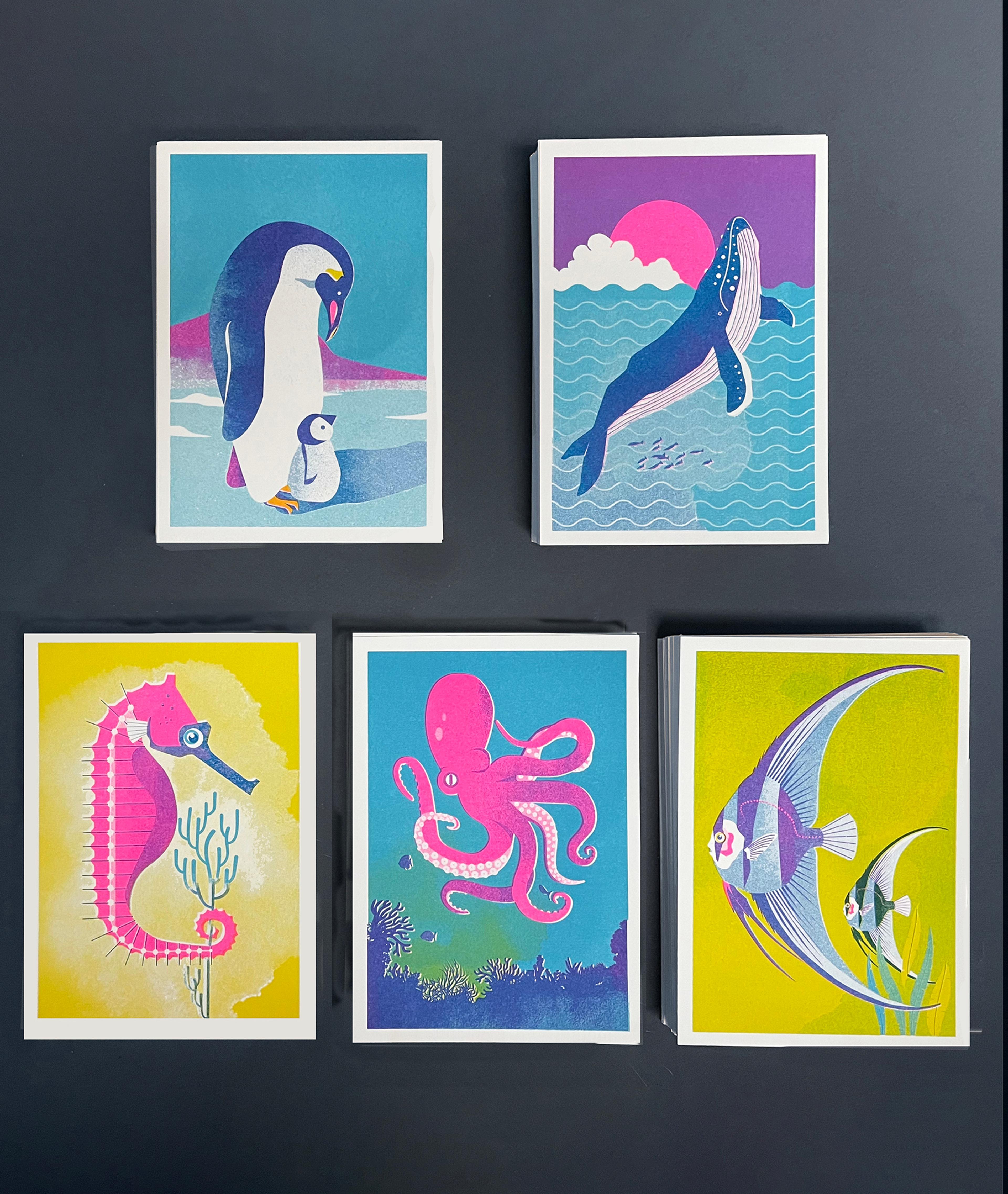 Cartes postales "animaux marins"