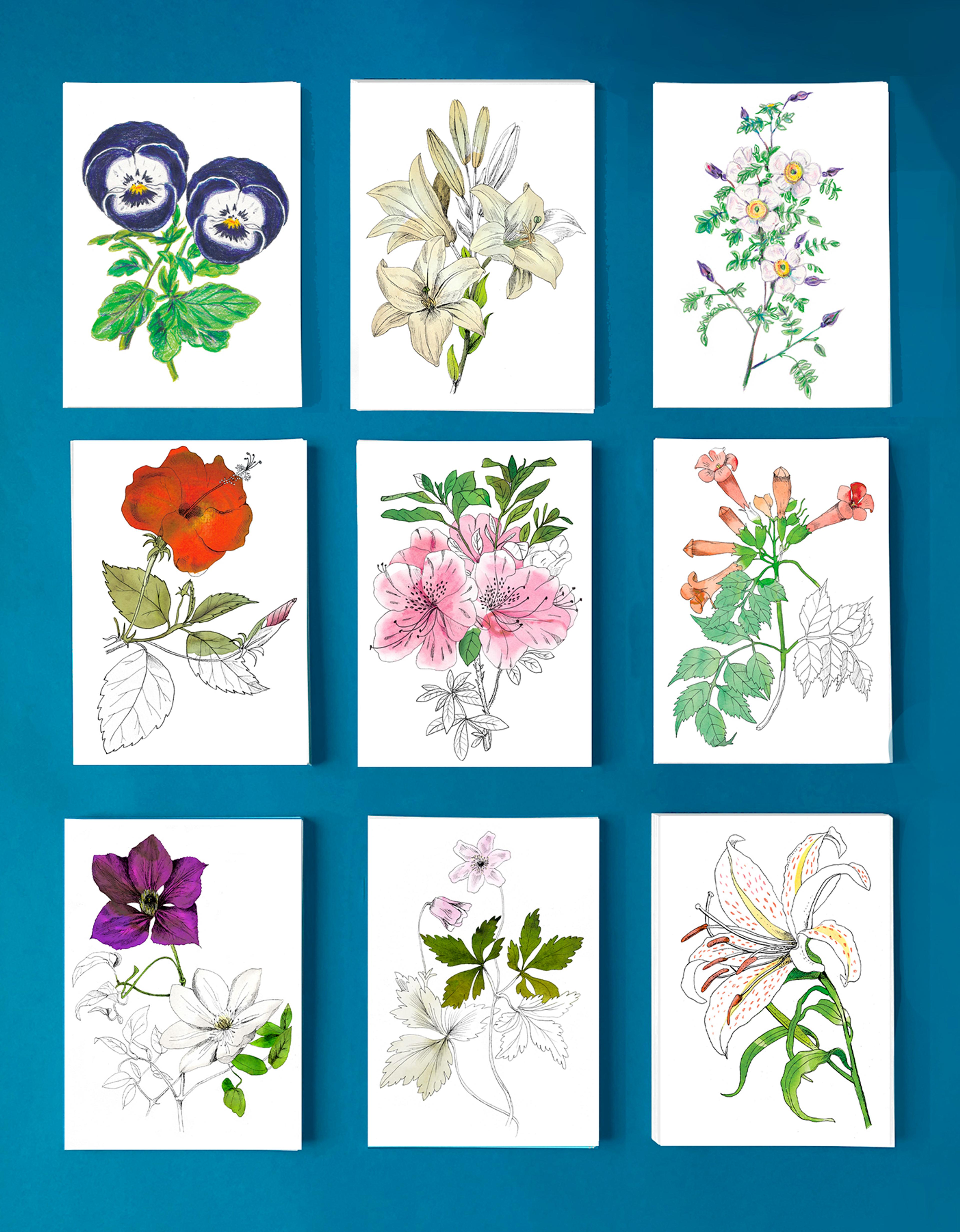 Cartes postales "Fleurs"