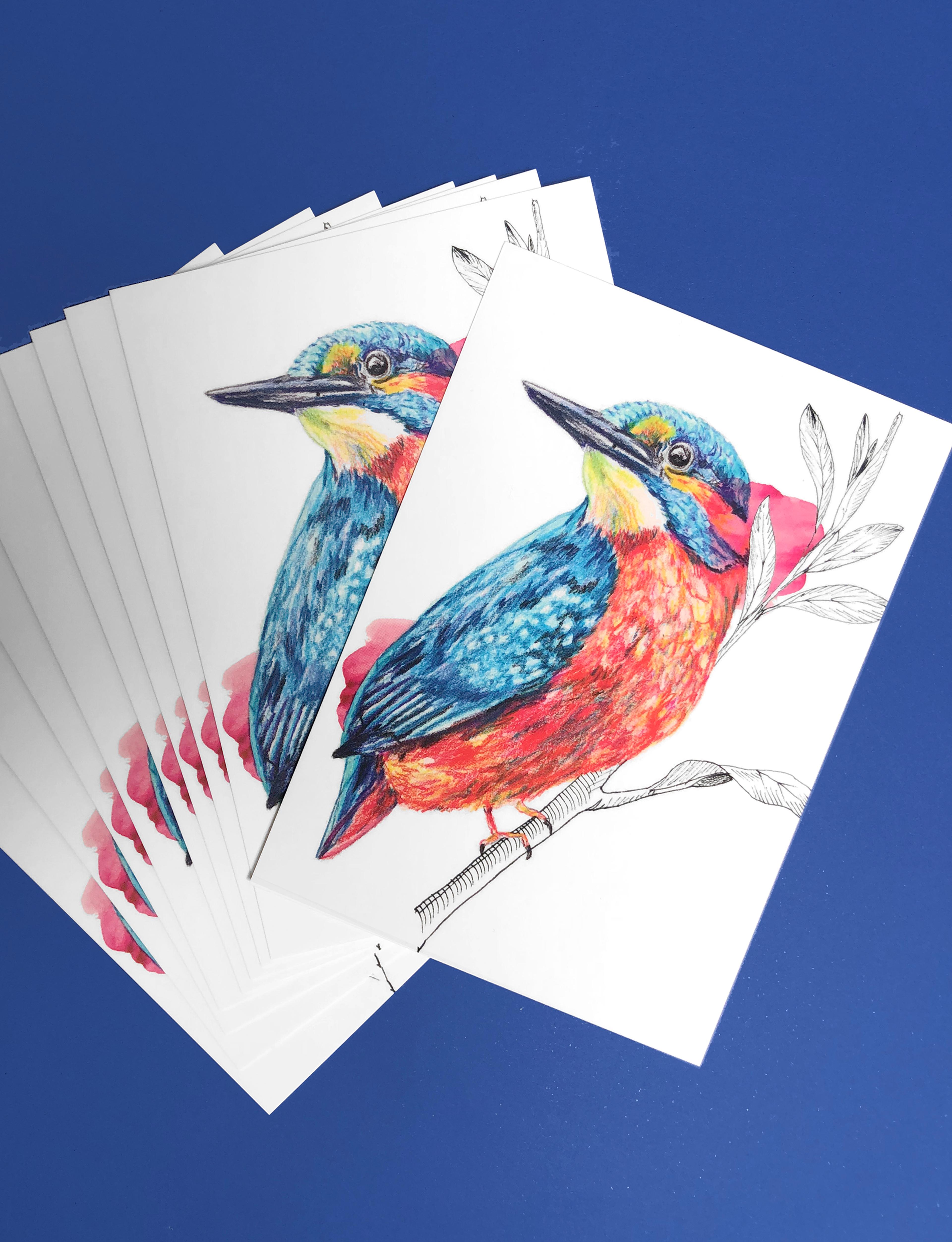 Cartes postales oiseaux