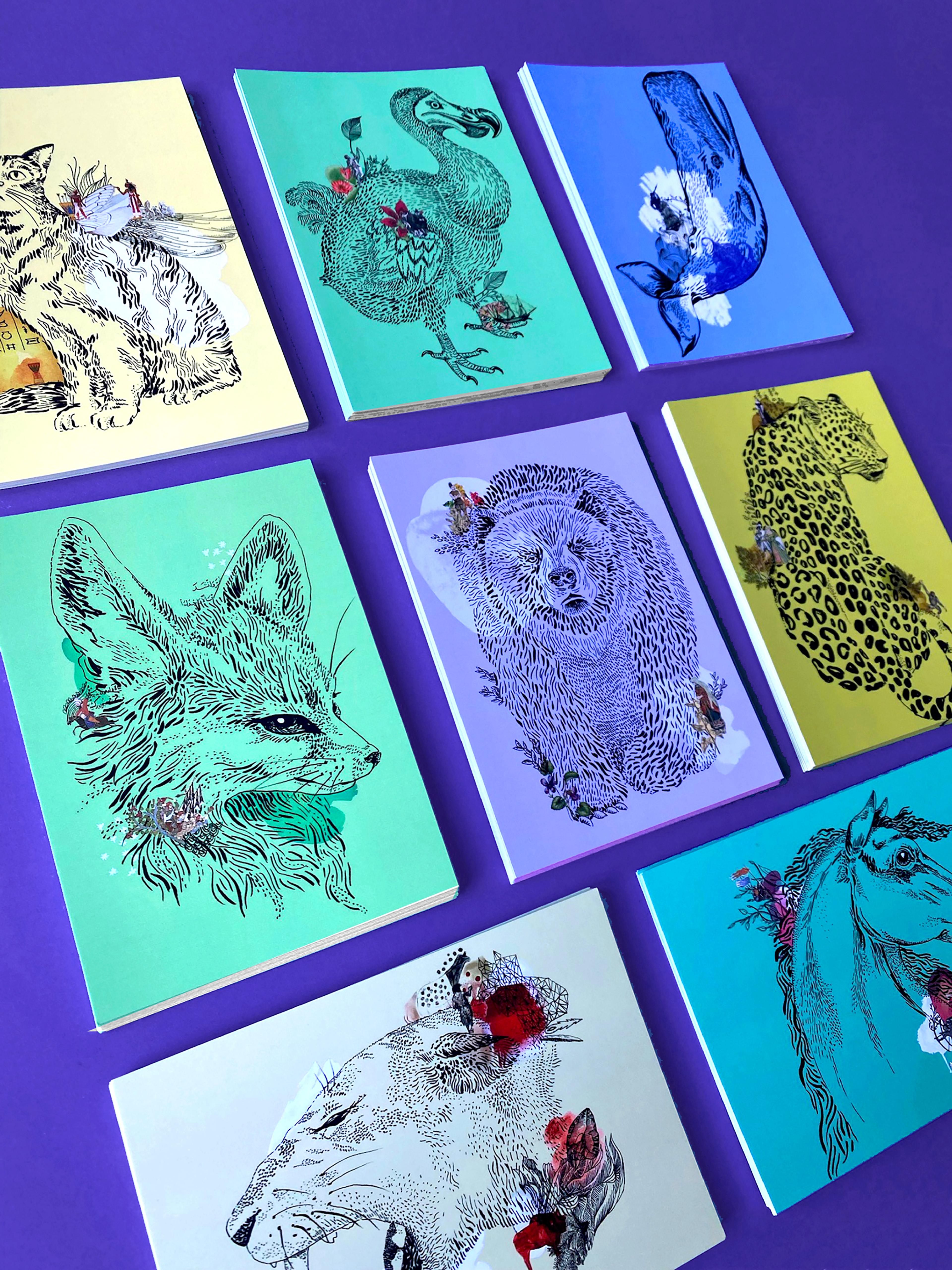 Cartes postales "Animaux à rebrousse poils"