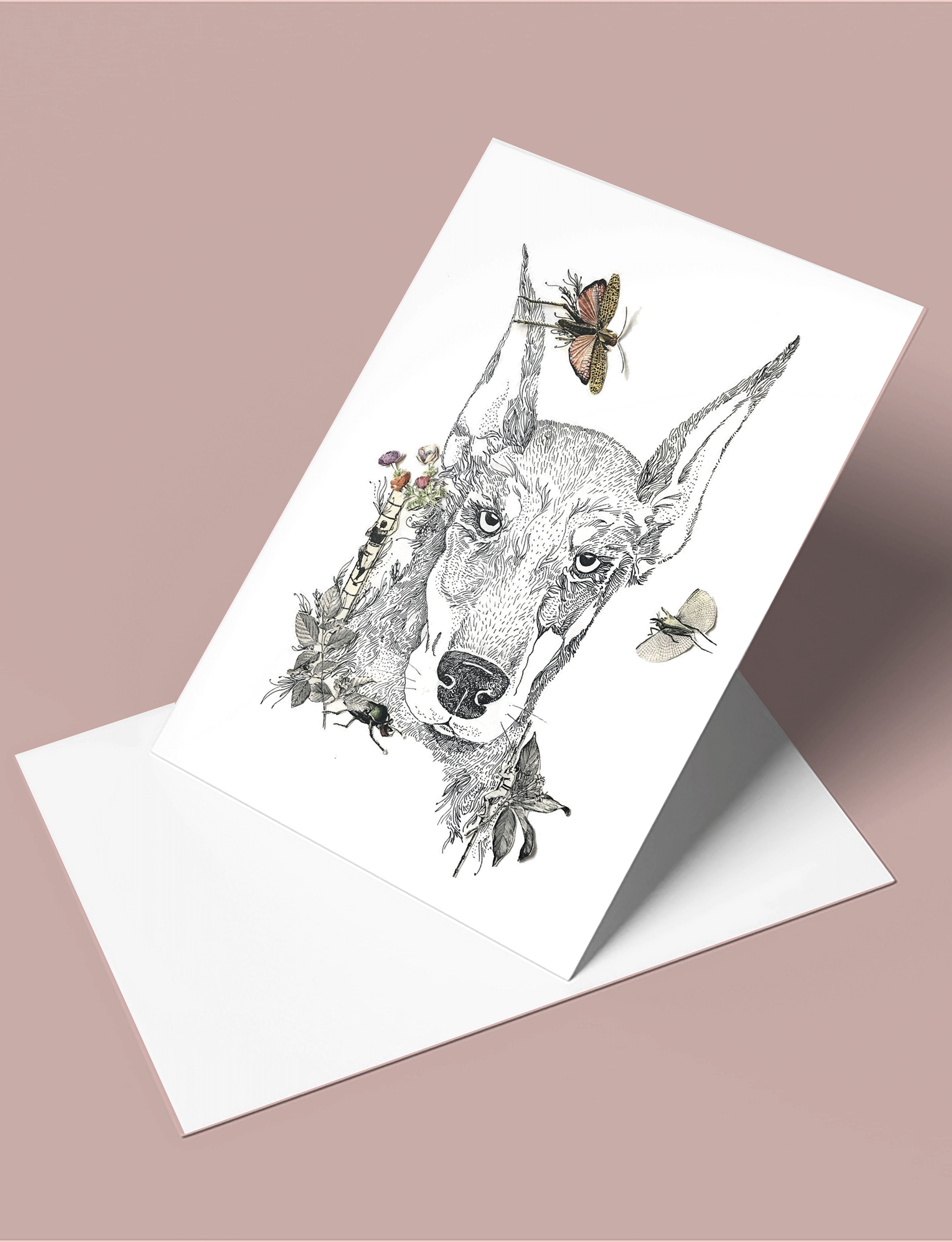 Cartes postales animaux
