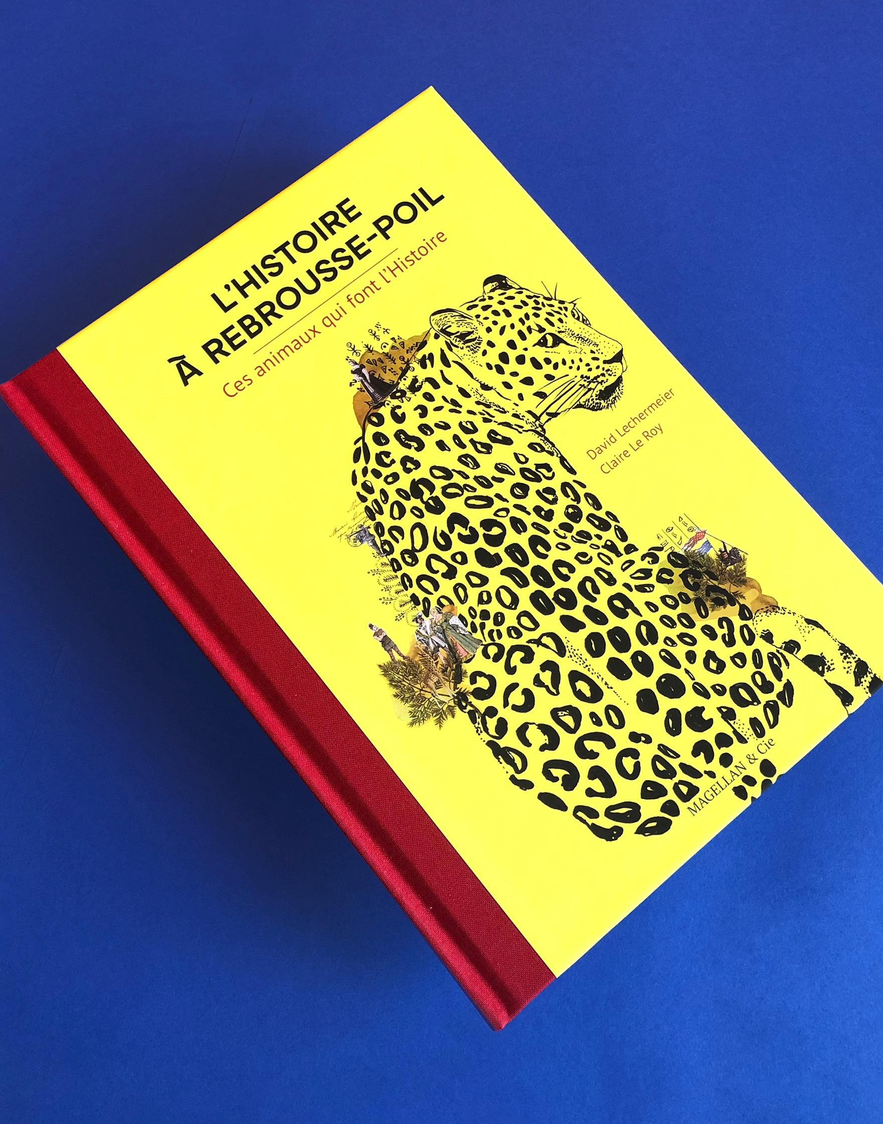 L'Histoire à rebrousse-poils