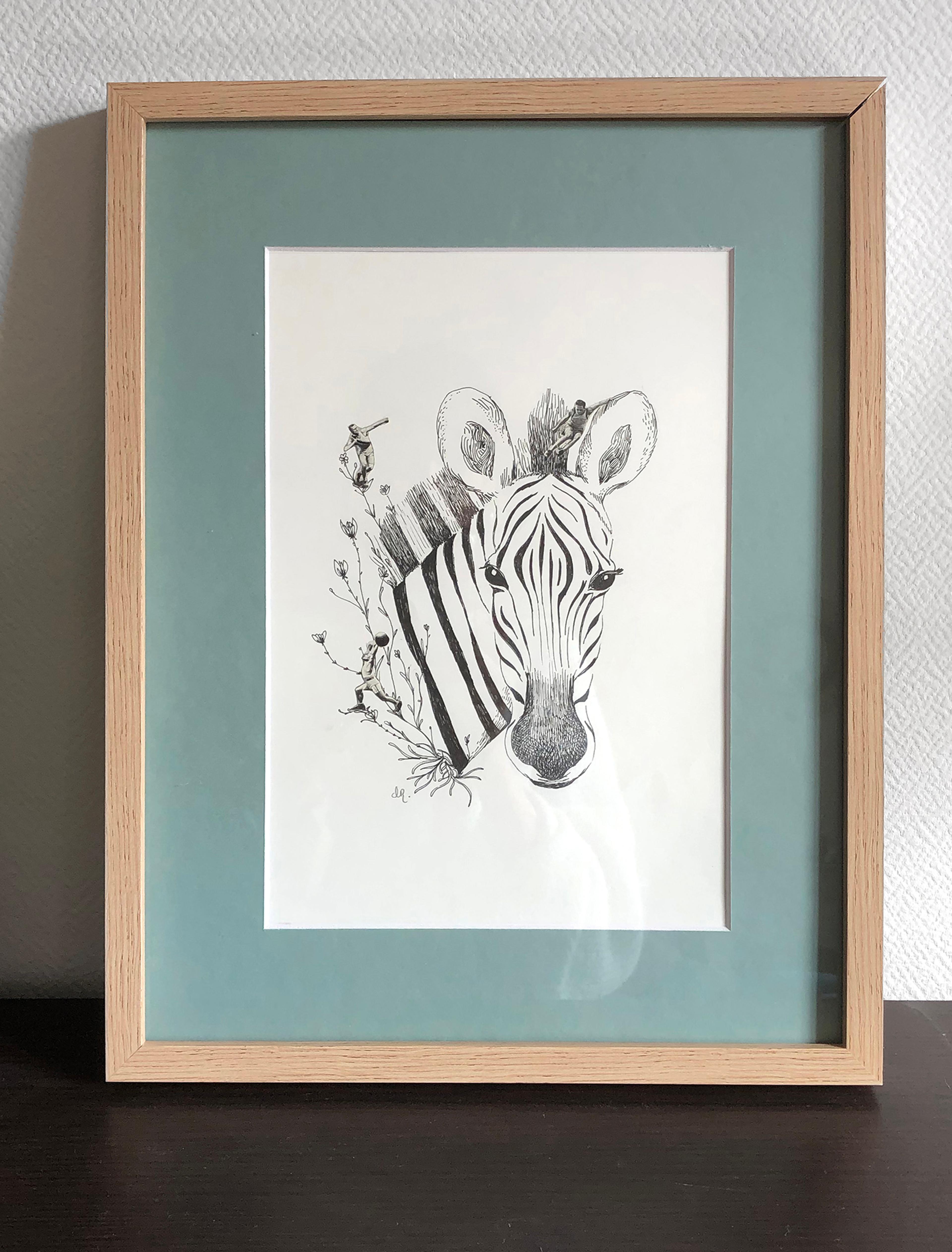 Le zèbre