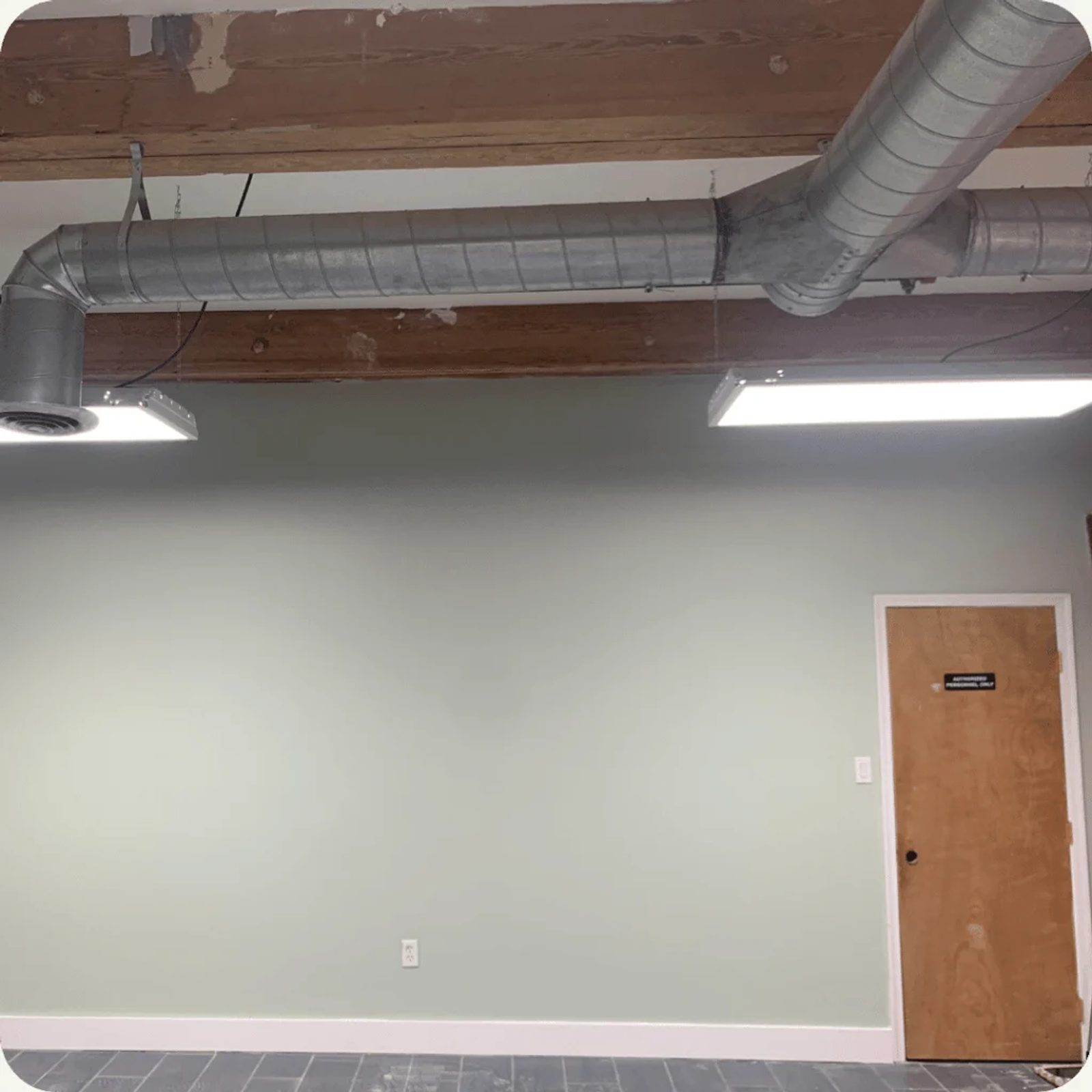 Open interior with painted walls and exposed timber ceiling