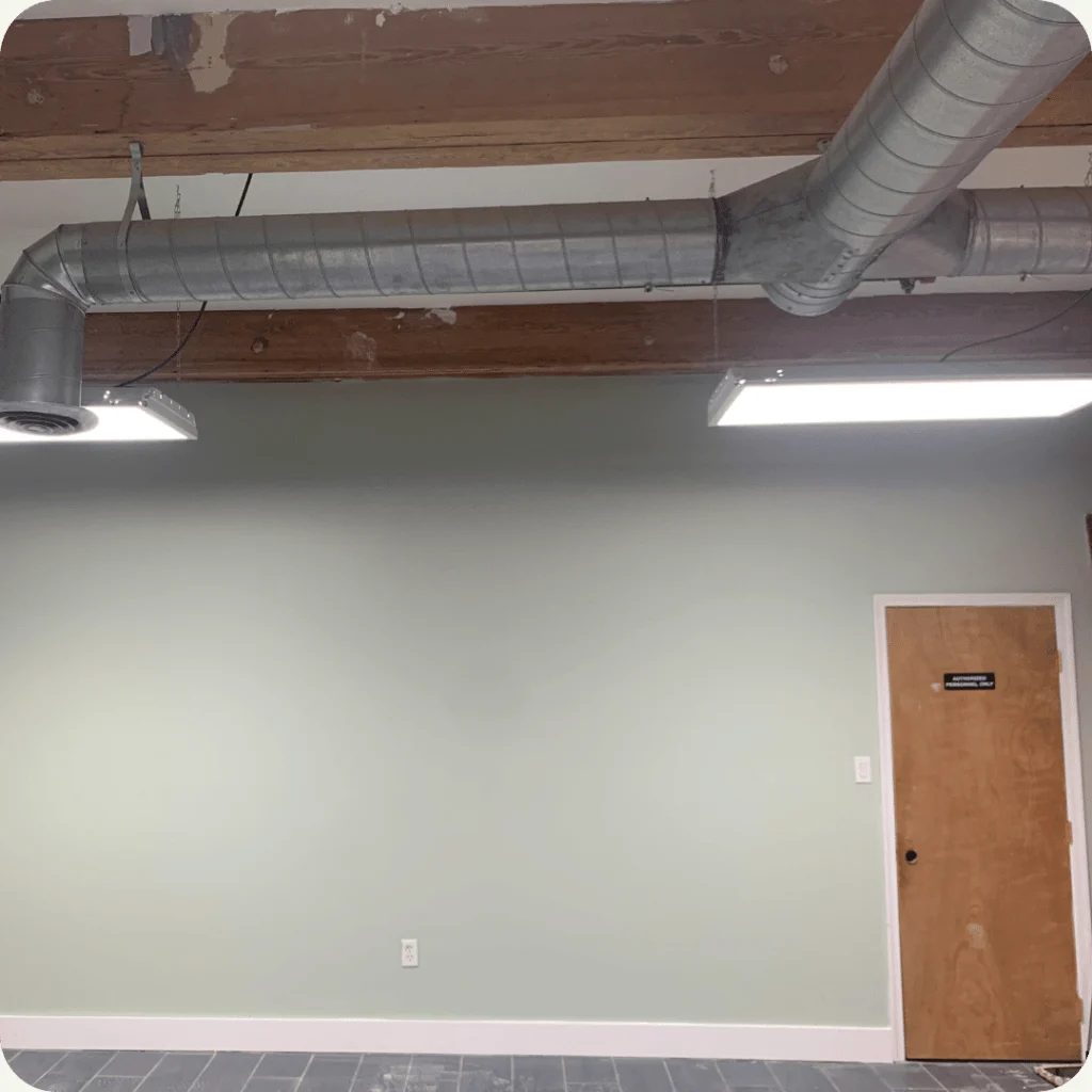 Open interior with painted walls and exposed timber ceiling