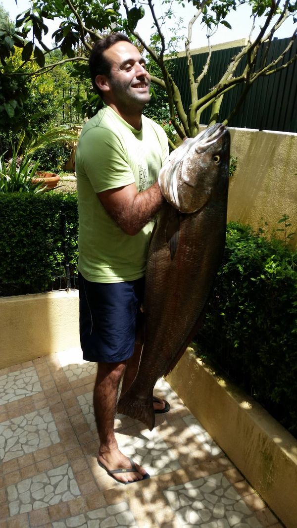 Corvina caught wih a lure