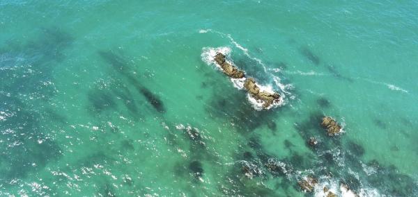 Shore fishing mark along the Atlantic