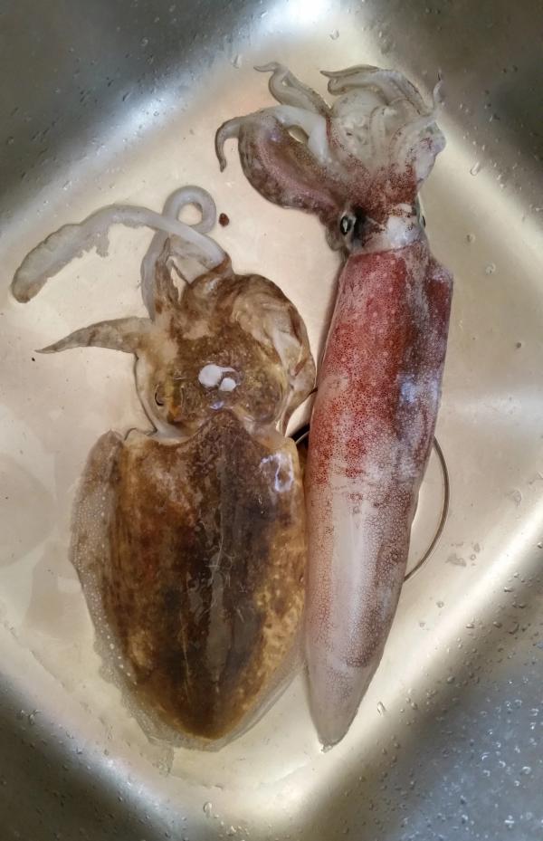 The results of an egi session