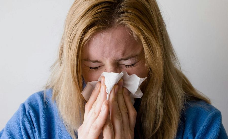 Alergia