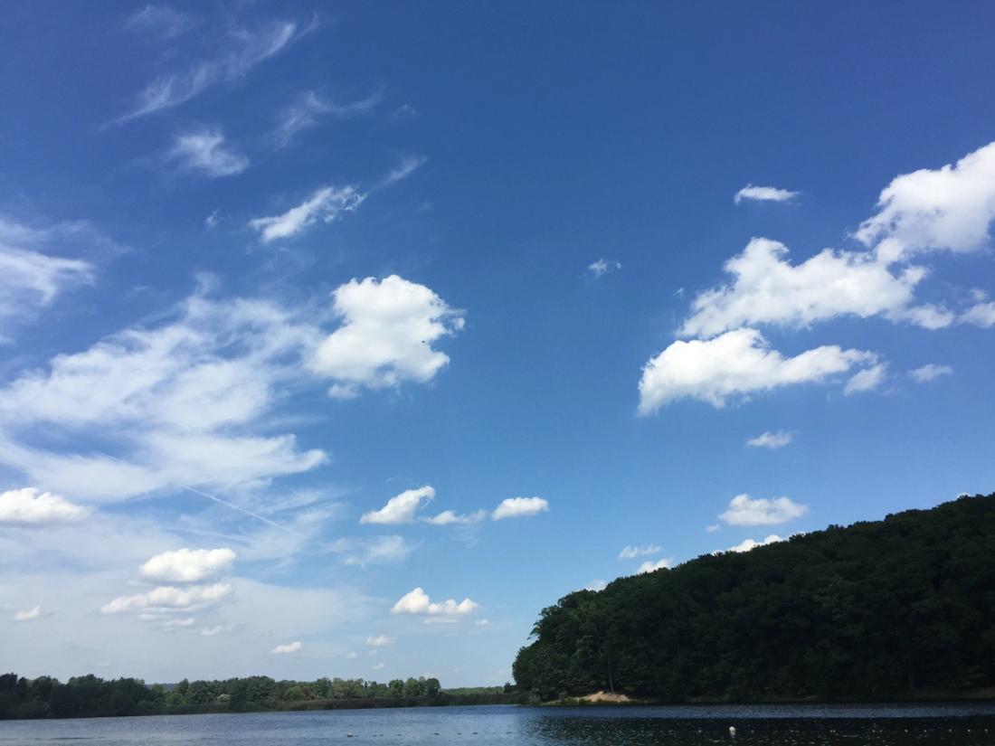 [ 출처: 뉴욕앤 뉴저지, DB 금지] [Source: New York and New Jersey, DB Ban]