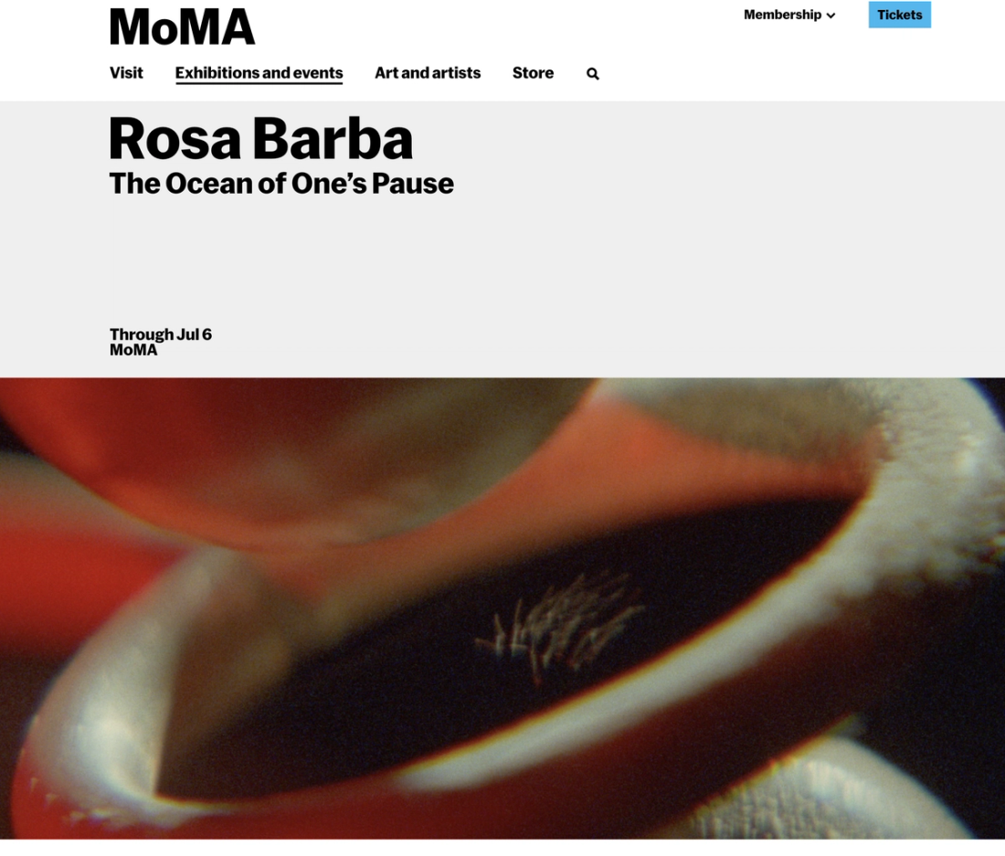 MoMA 웹사이트 캡처화면