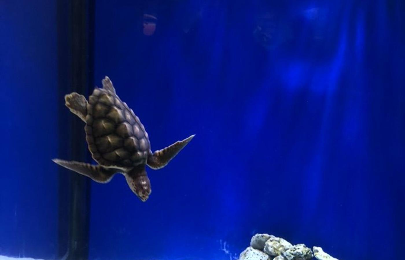 가족의 속도로 완성되는 Adventure Aquarium