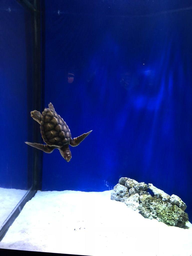 가족의 속도로 완성되는 Adventure Aquarium