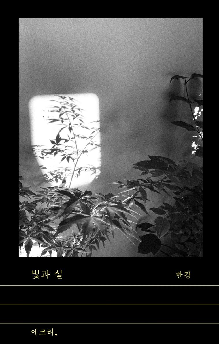 ‘빛과 실’ 책 표지 이미지 [문학과지성사 제공. 재판매 및 DB 금지]