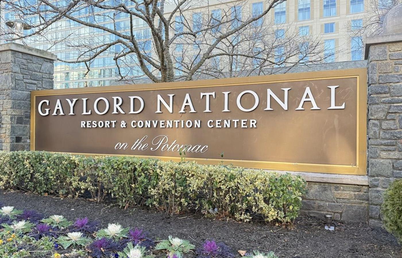 워싱턴을 건너지 않아도 완성되는 봄 -Gaylord National
