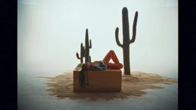 image of artist amidst cactus and sand