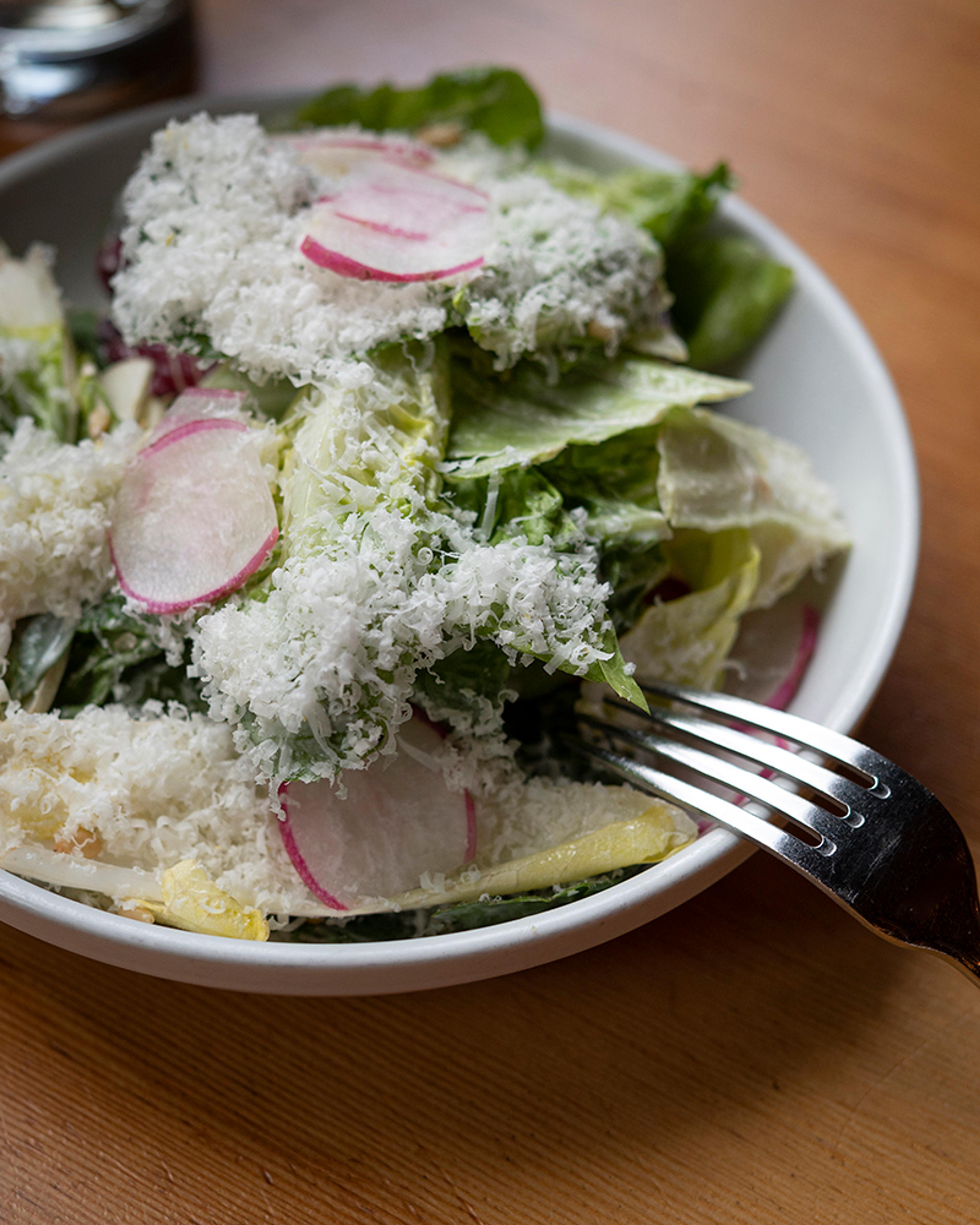 Baby greens salad with shaved Italian cheese and breakfast radish