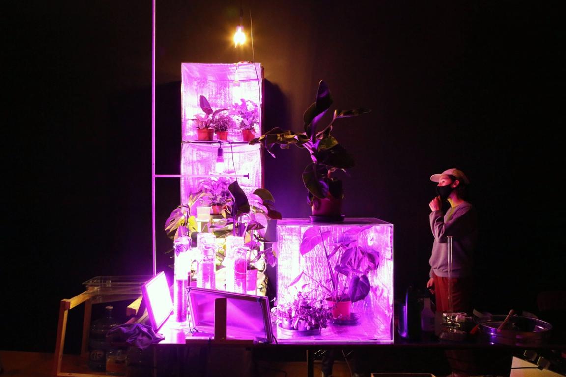 Transdisciplinary research practices in Biomodd