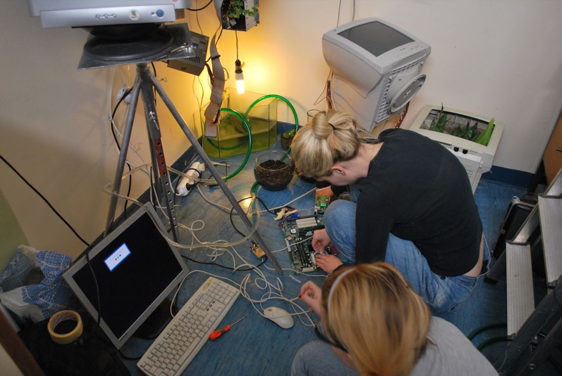 Biomodd [We Love Plants]