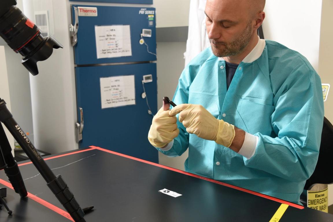 Build Your Own Bioreactor