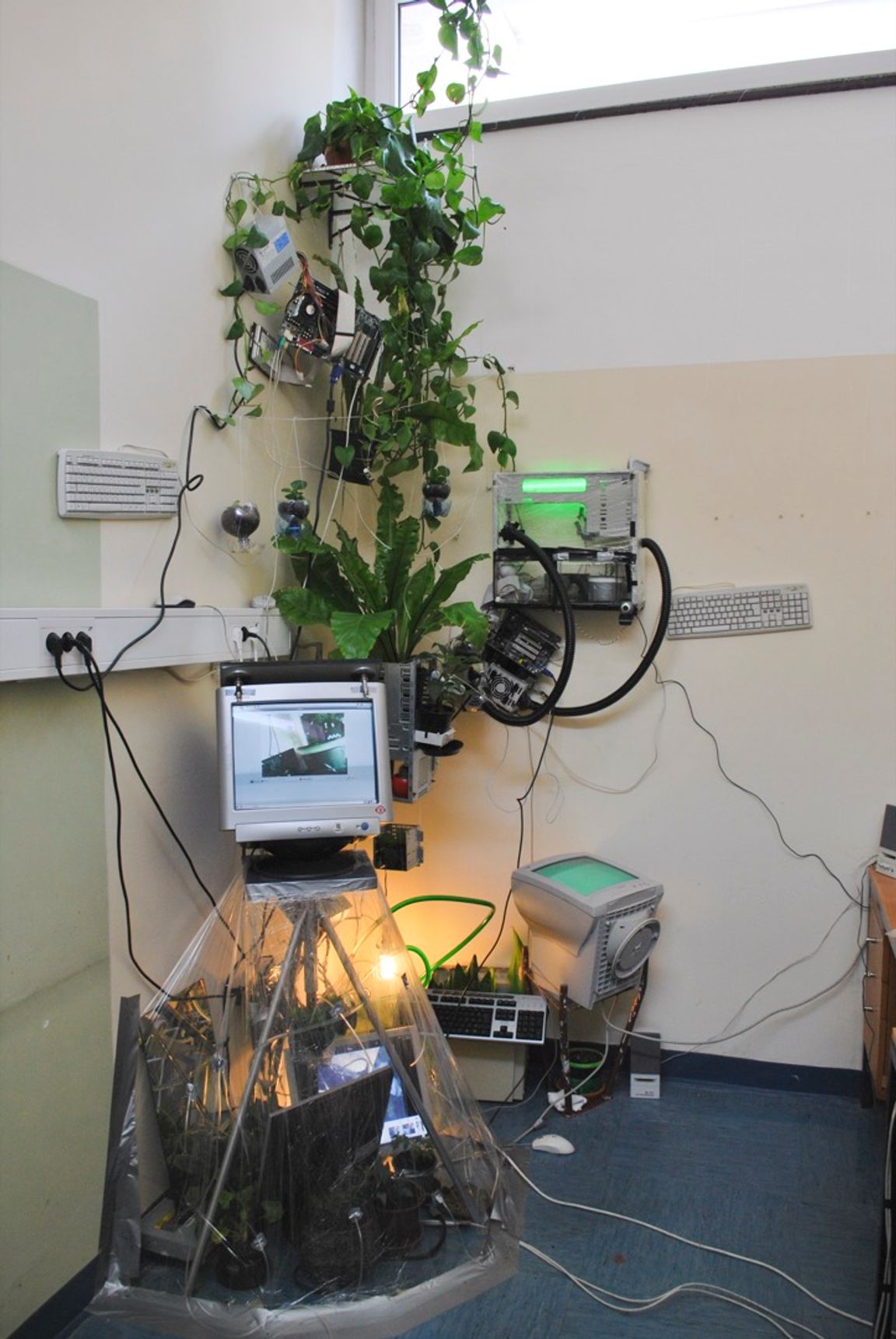 School Workshop Plant Ecologies