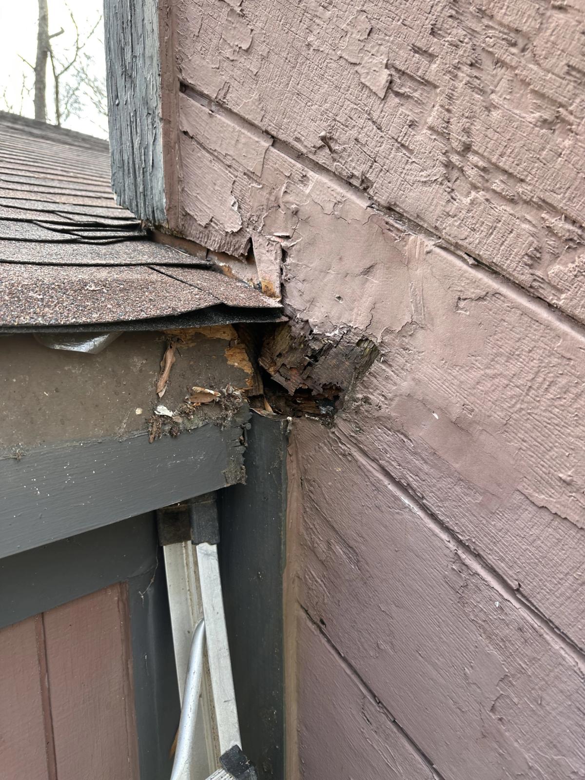 Exteriorwood Siding Repair image 3