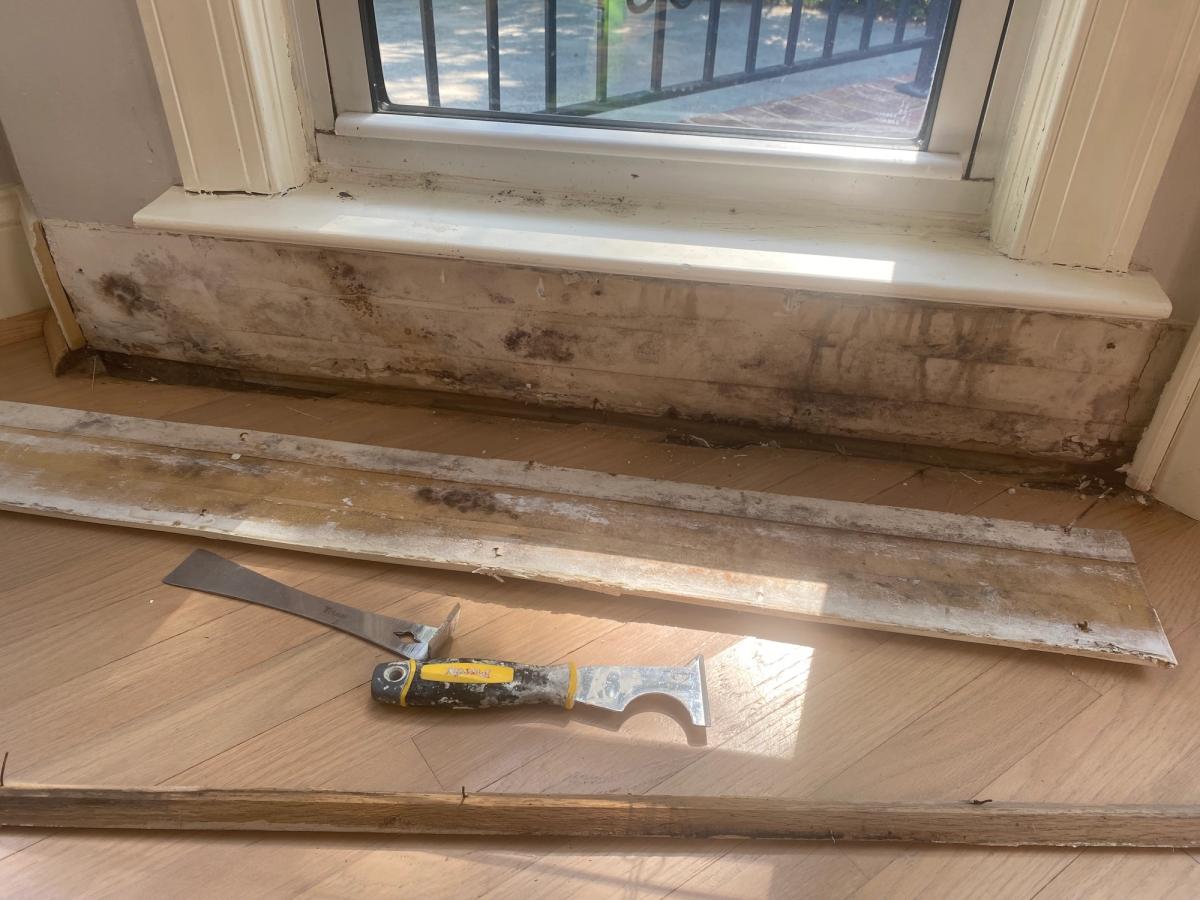 Water Damage Mitigation image 5