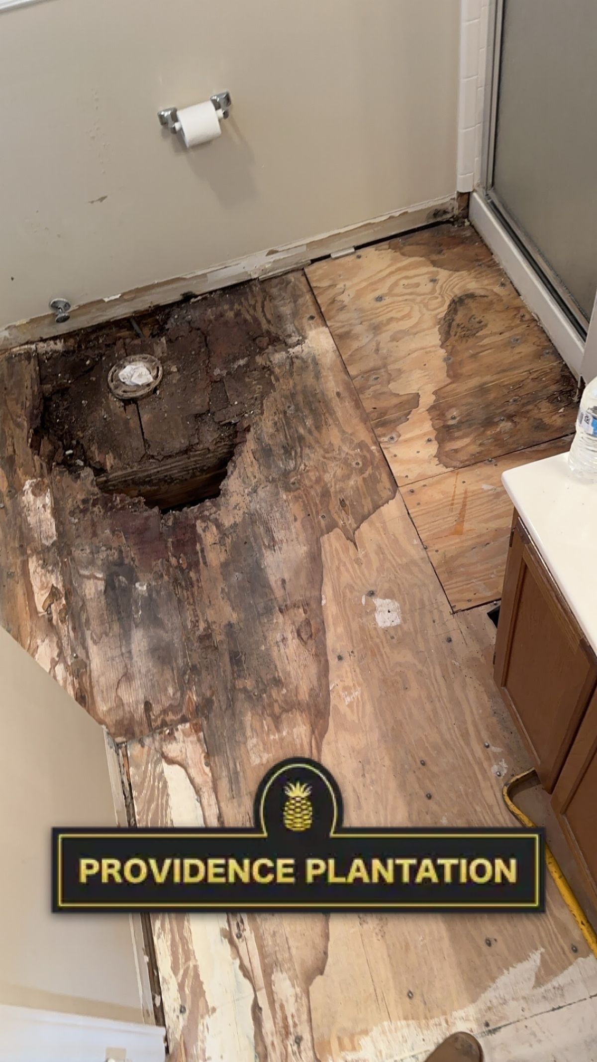 Bathroom Floor Repair image 6