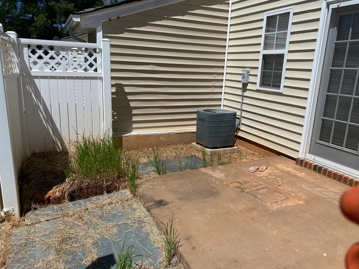 Backyard Upgrade image 10