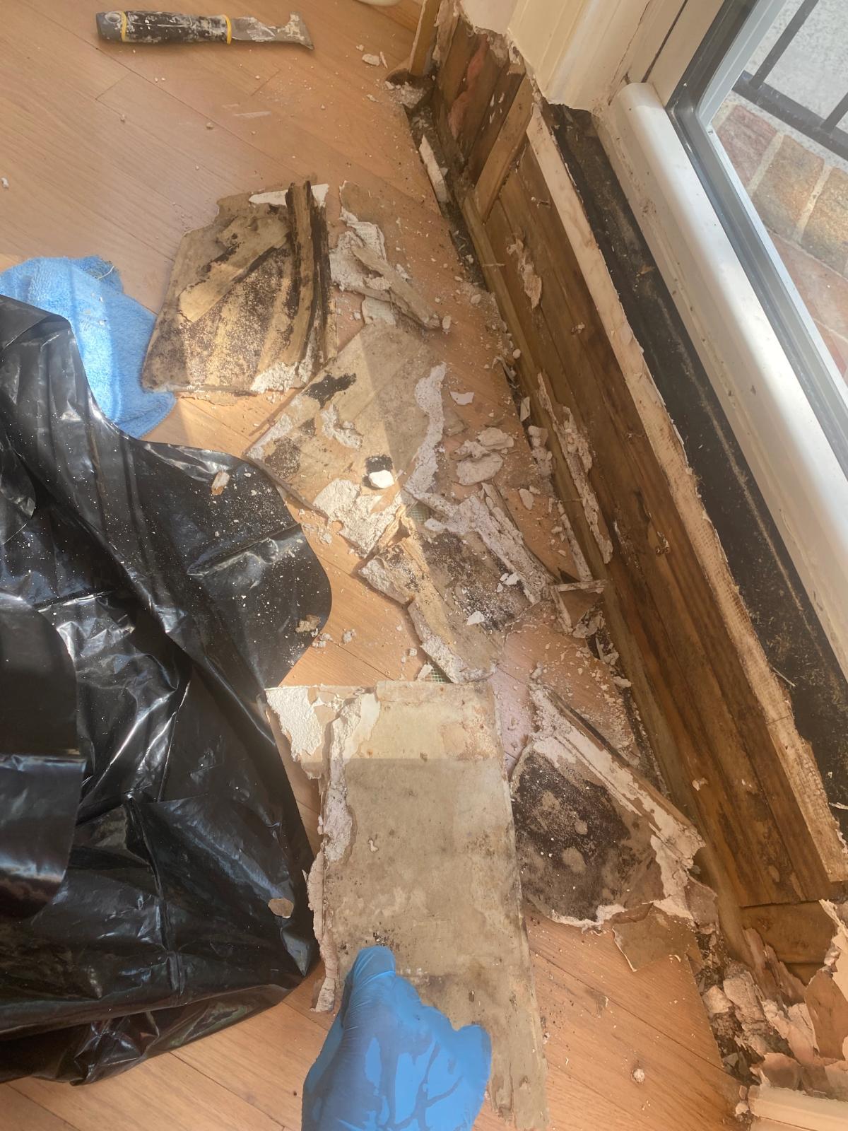 Water Damage Mitigation image 7