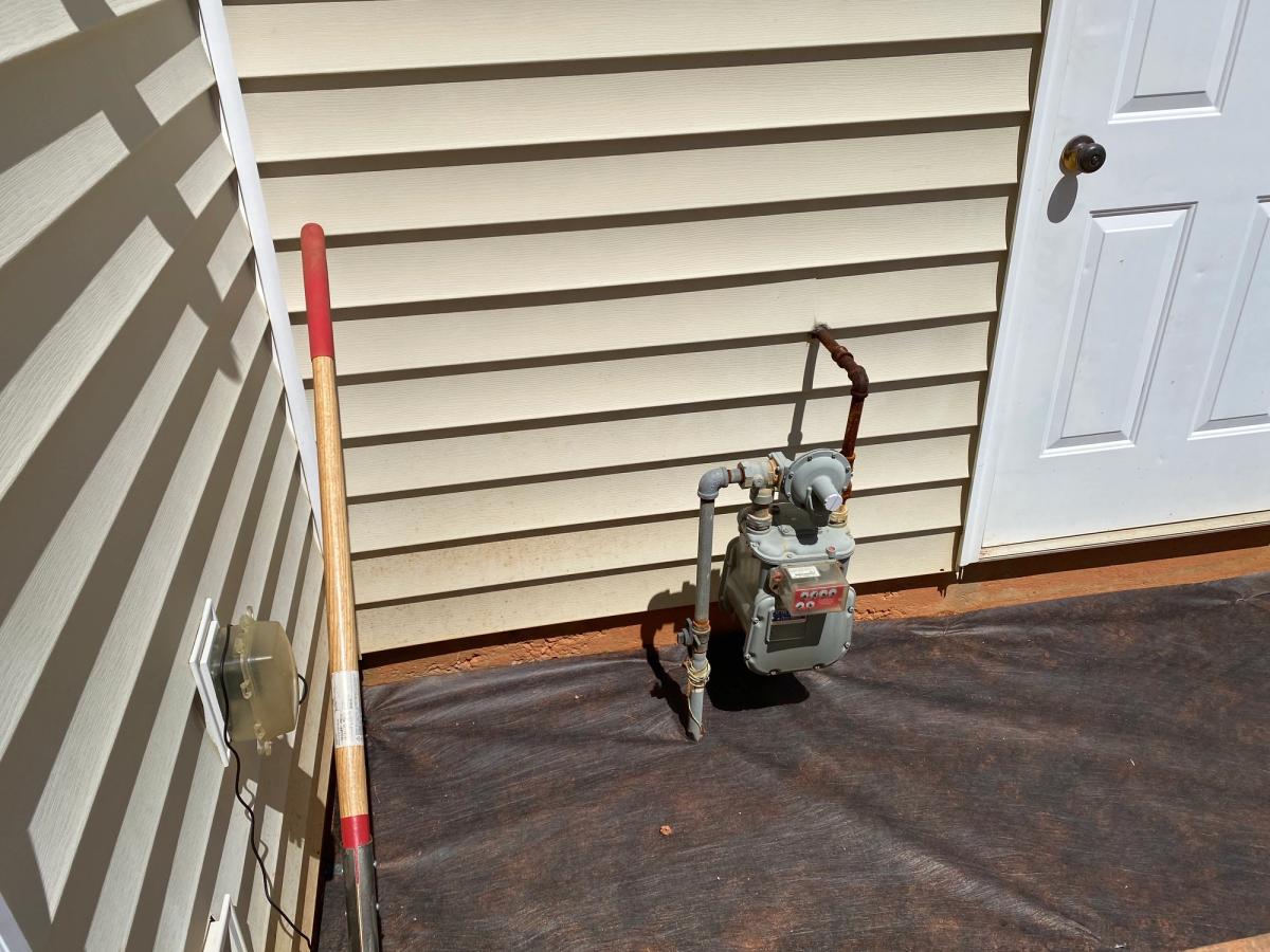 Backyard Upgrade image 17