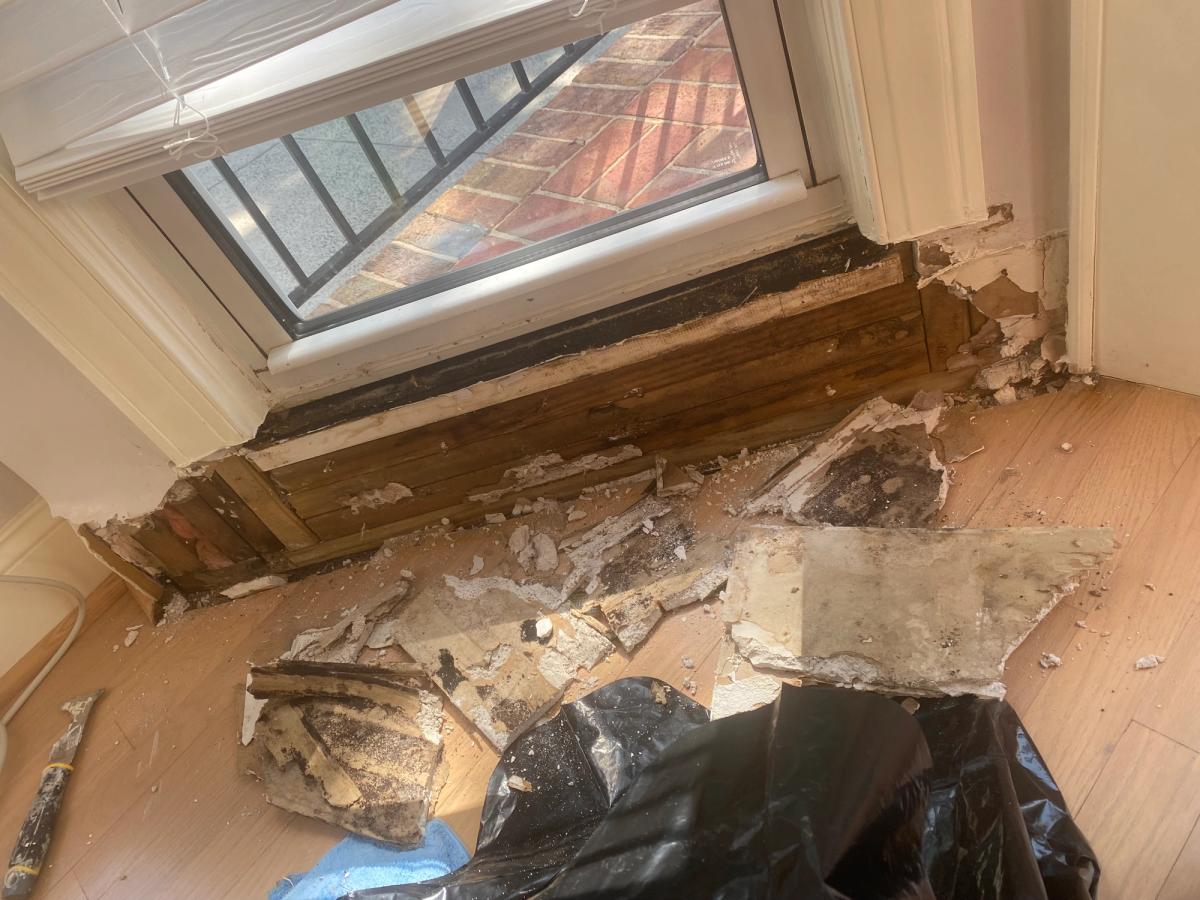 Water Damage Mitigation image 8