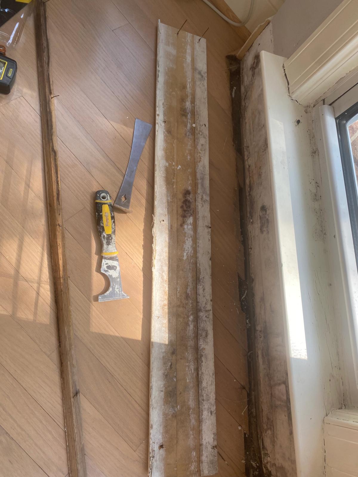 Water Damage Mitigation image 1