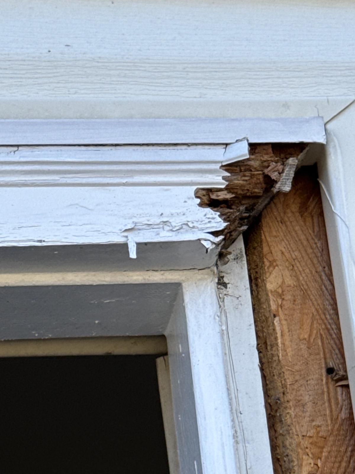 Water Damage Repair image 16